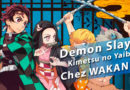 Demon Slayer : Kimetsu no Yaiba… ça va saigner en Avril chez WAKANIM